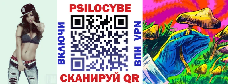 Псилоцибиновые грибы Psilocybe Альметьевск